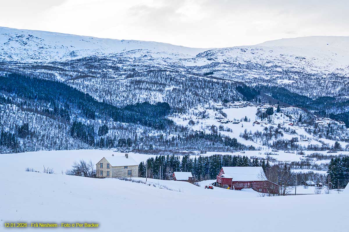 Frå Nesheim