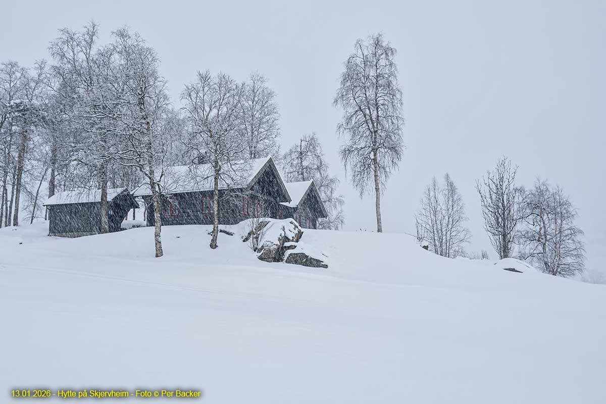 Hytte på Skjervheim