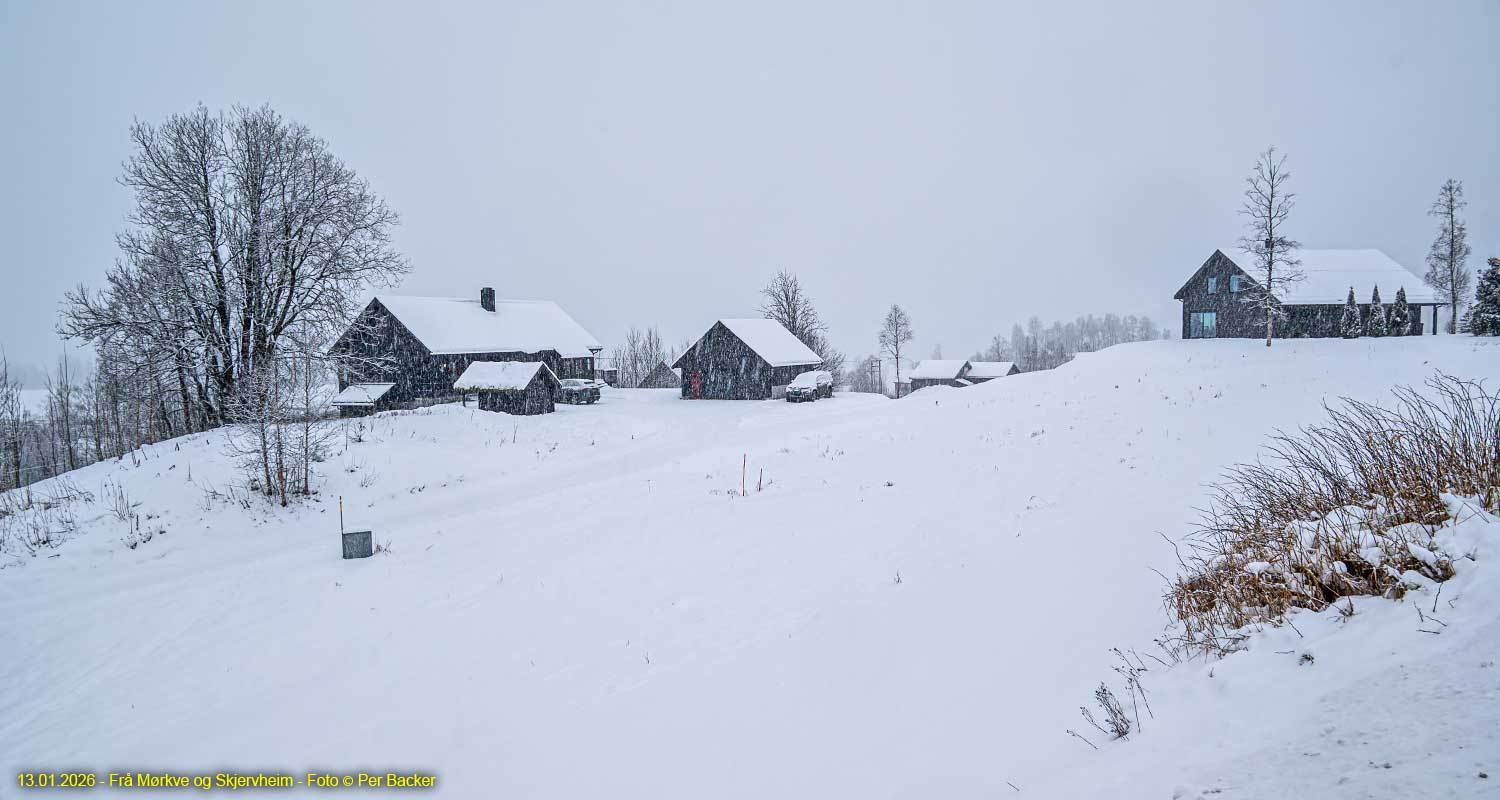 Frå Mørkve og Skjervheim