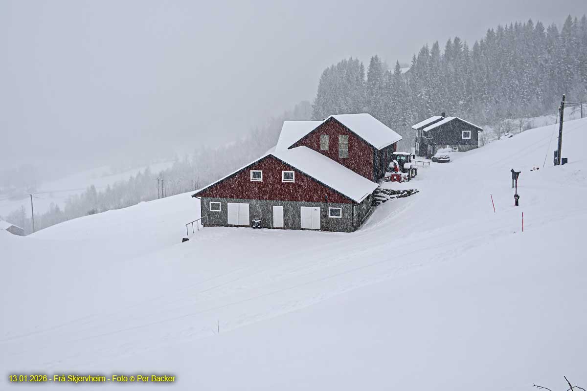 Frå Skjervheim