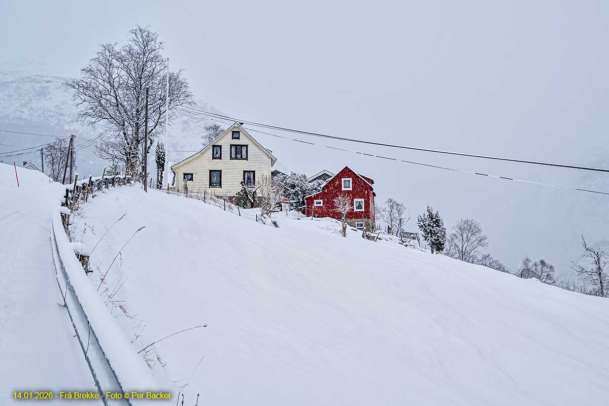 Frå Brekke