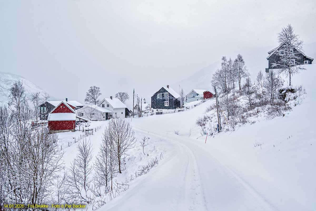 Frå Brekke