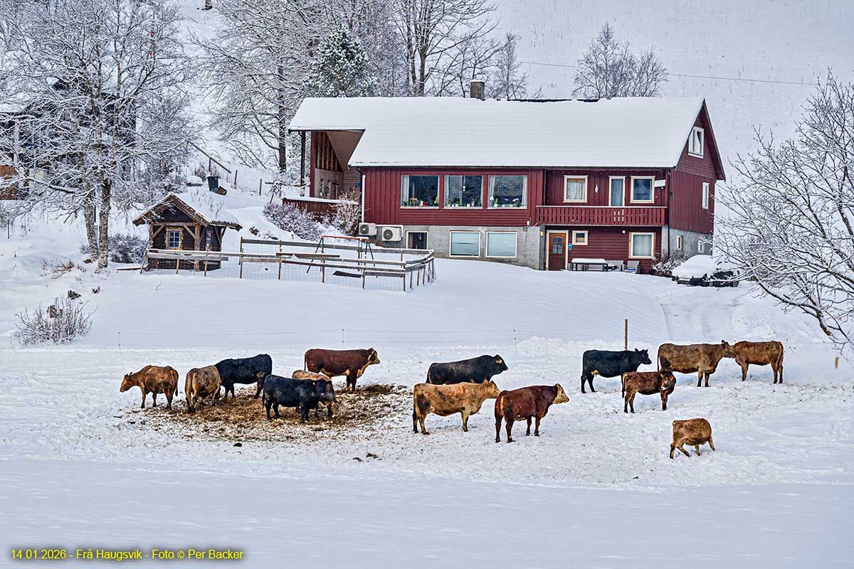 Frå Haugsvik