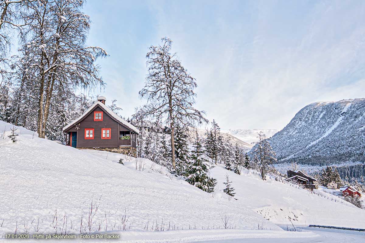 Hytte på Skjervheim