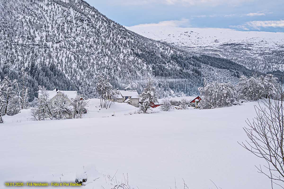 Frå Nesheim