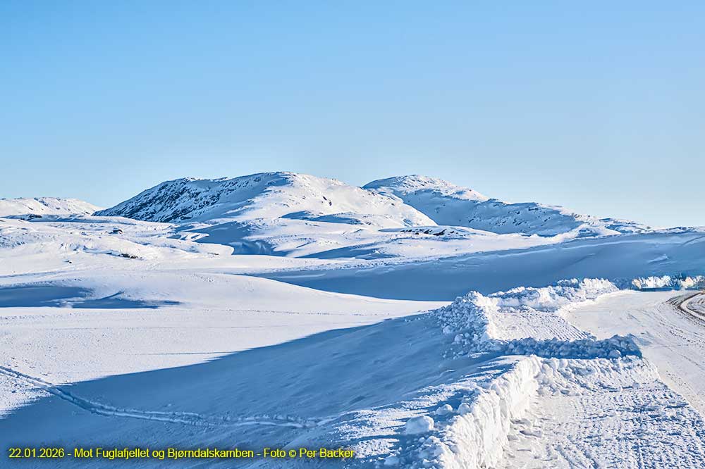 Mot Fuglafjellet og Bjørndalskamben