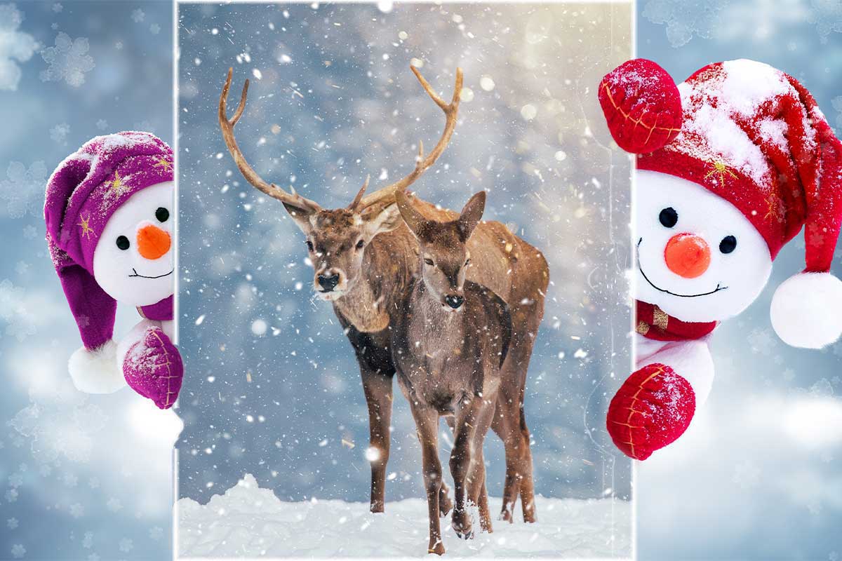 Snømenn og og hjort (KI)