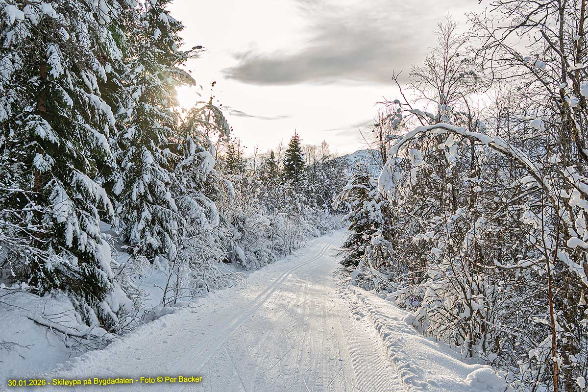 Frå Skiløypa på Bygdadalen