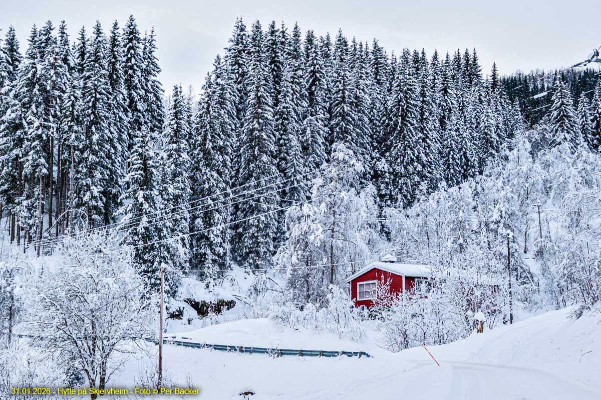 Hytte på Skjervheim