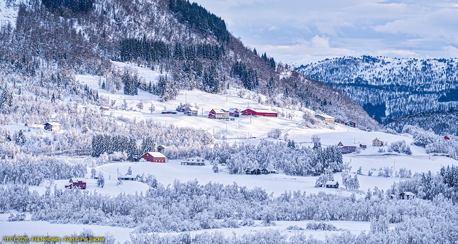 Frå Nesheim
