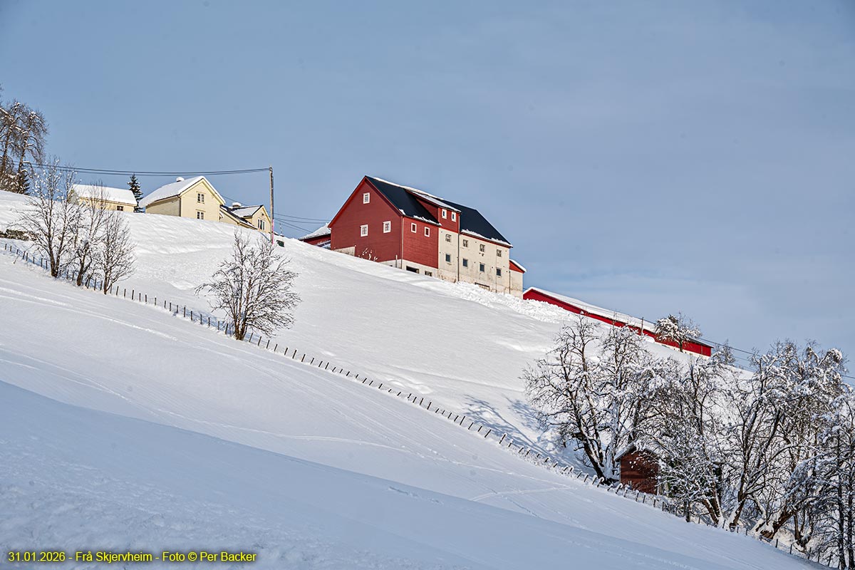 Frå Skjervheim