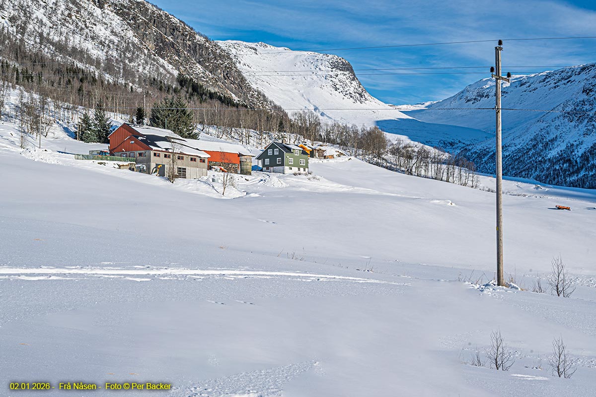 Frå Nåsen