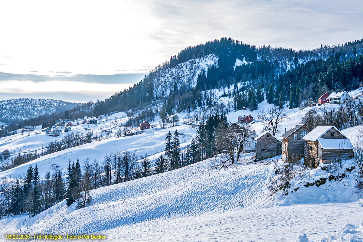 Frå Holbygda
