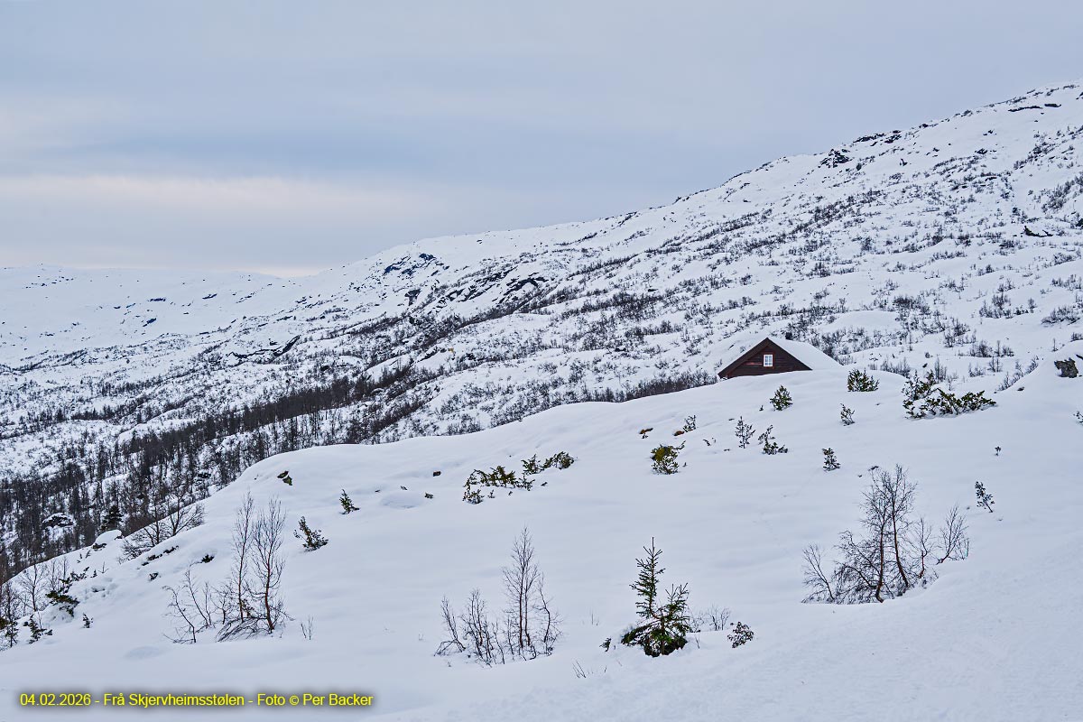 Frå Skjervheimsstølen