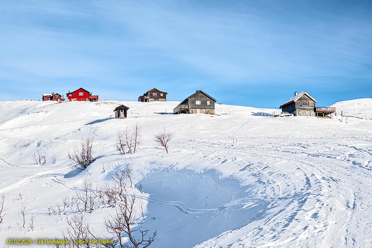 Frå Revhaugen