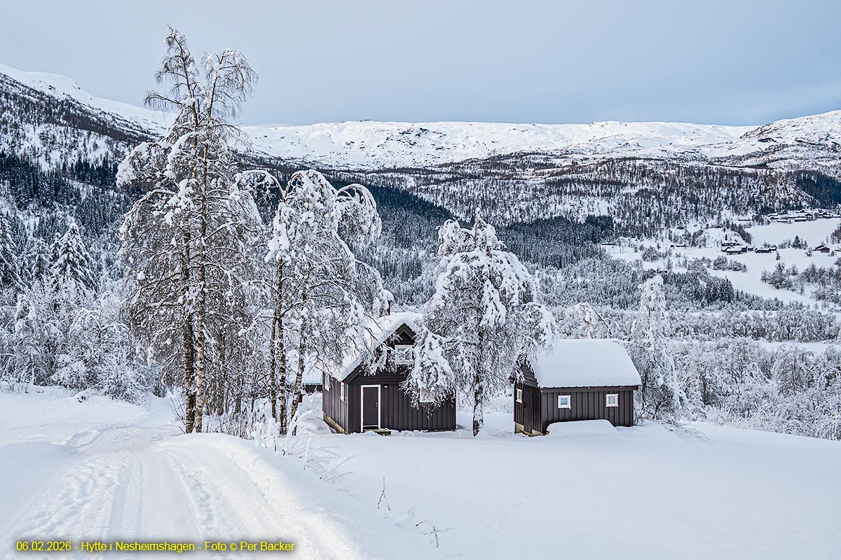 Hytte i Nesheimshagen