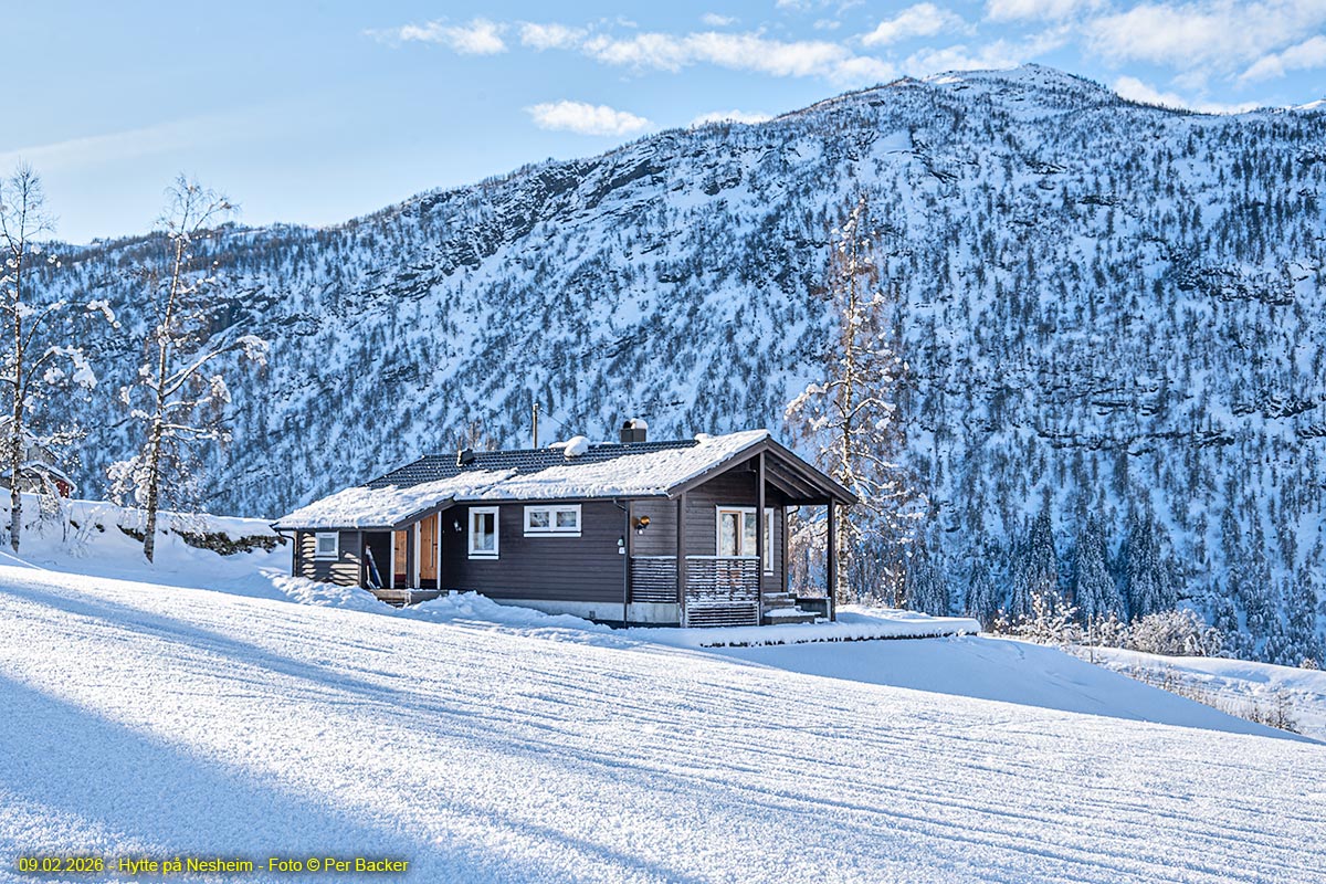 Hytte på Nesheim