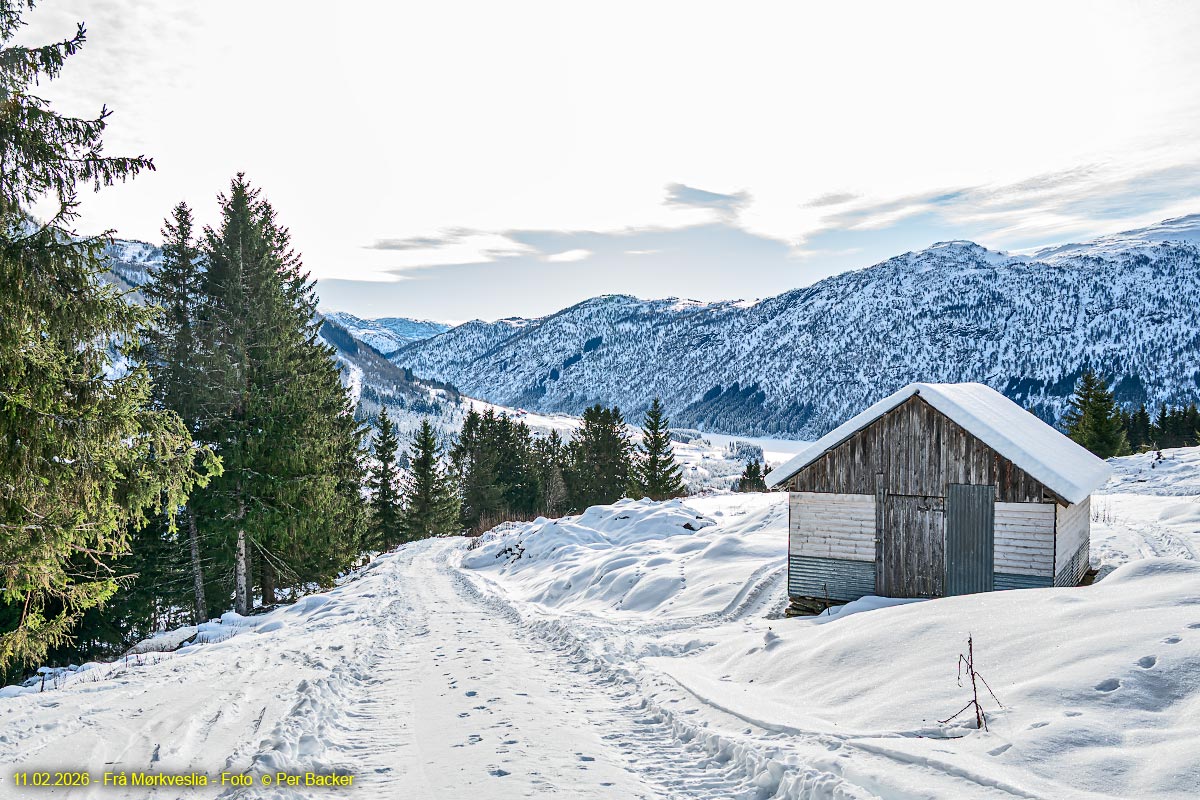 Frå Mørkvslia