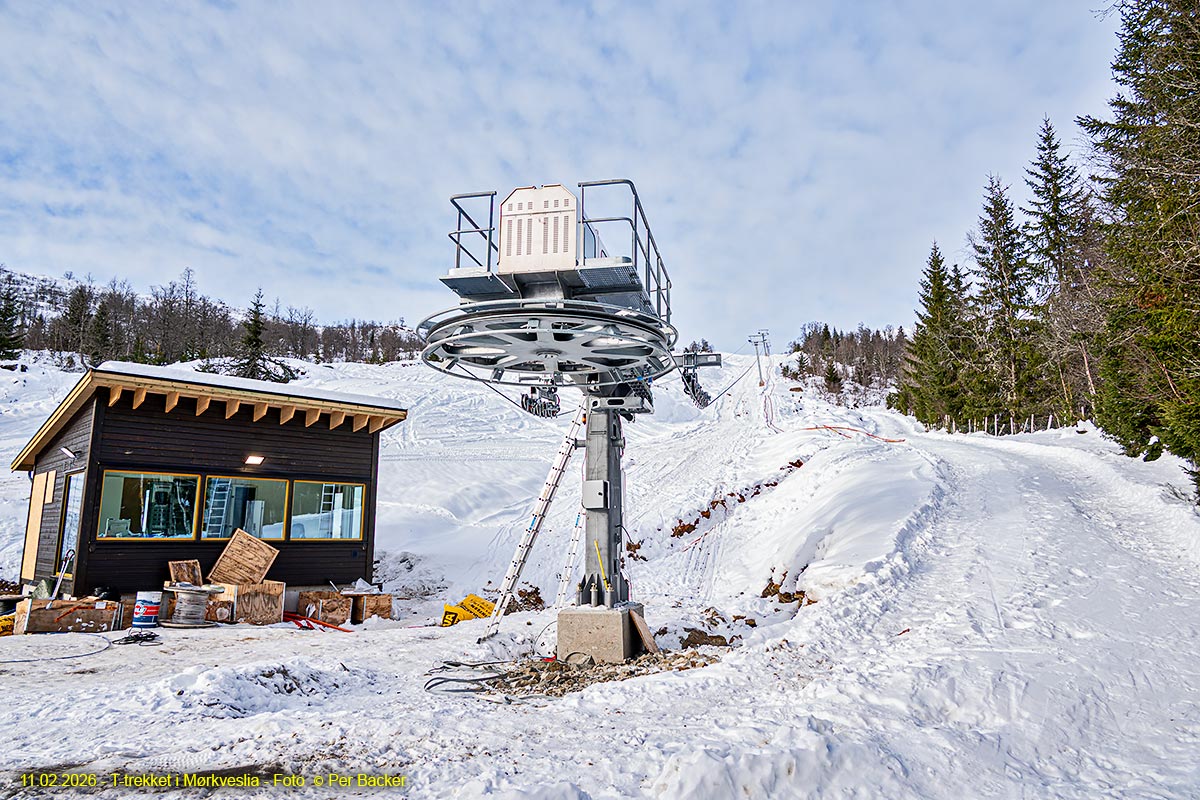 T-trekket i Mørkveslia