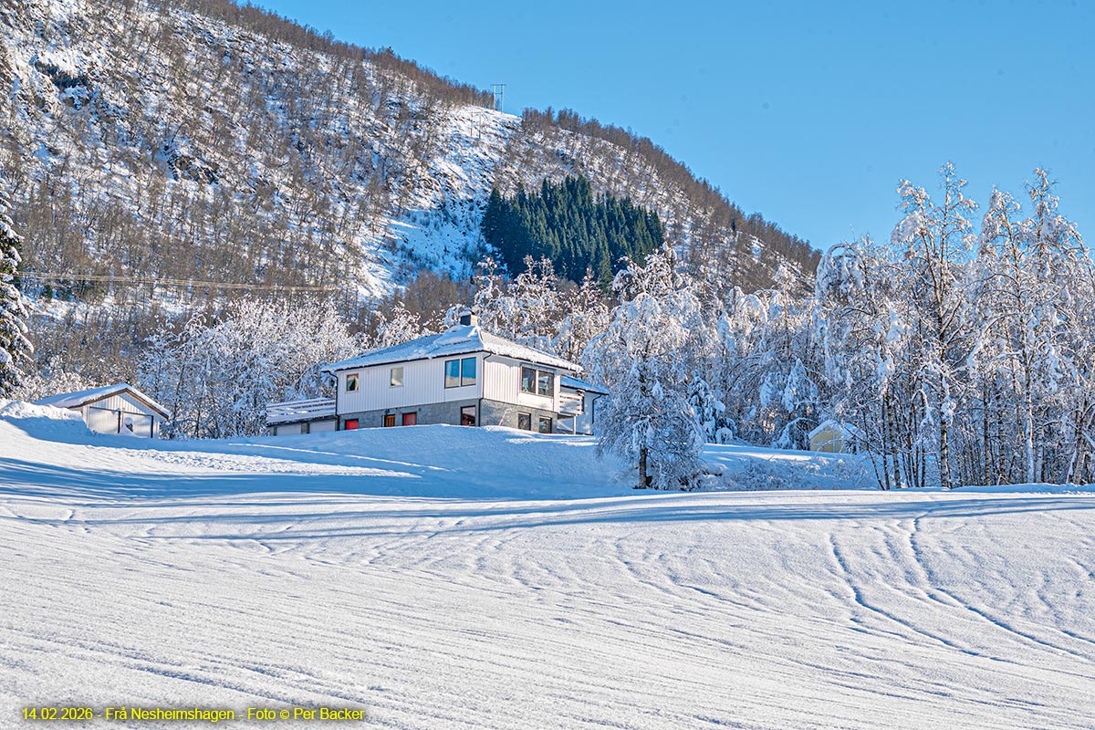 Frå Nesheimshagen