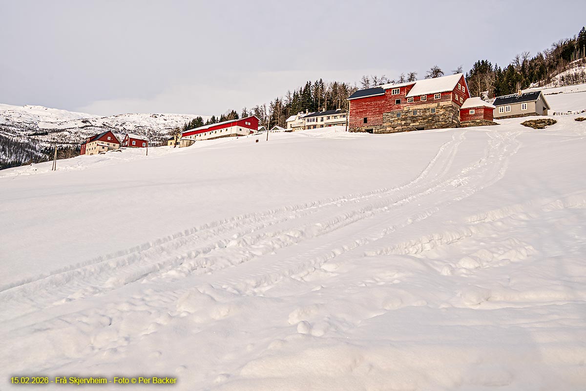 Frå Skjervheim