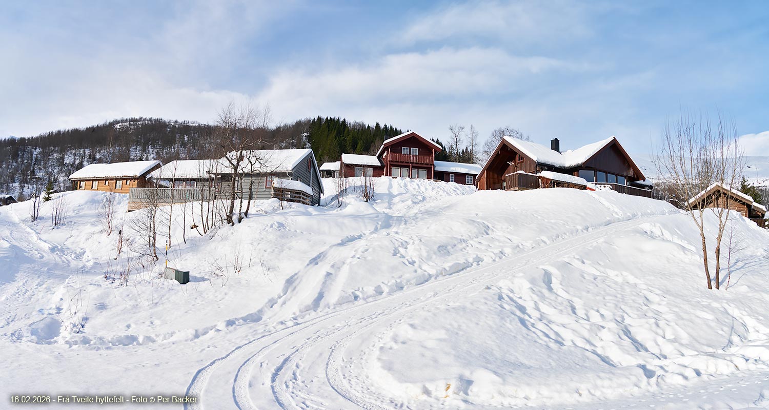 Frå Tveite hyttefelt