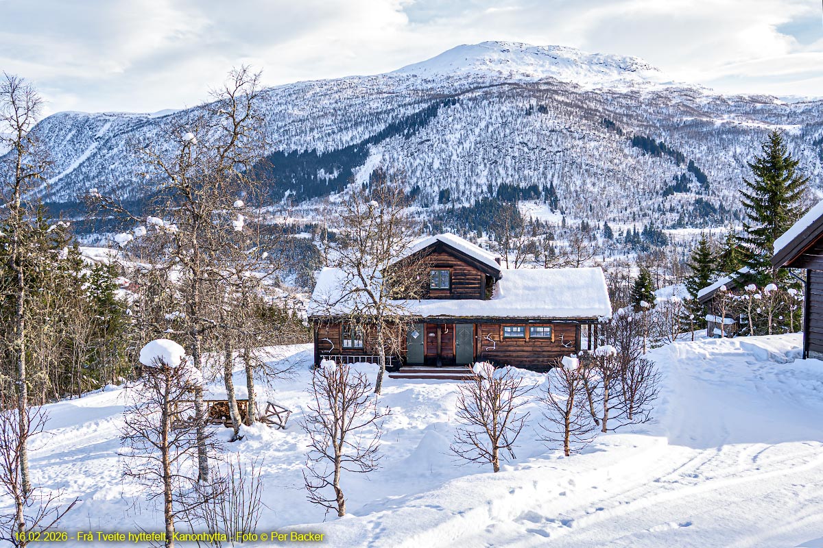 Frå Tveite hyttefelt