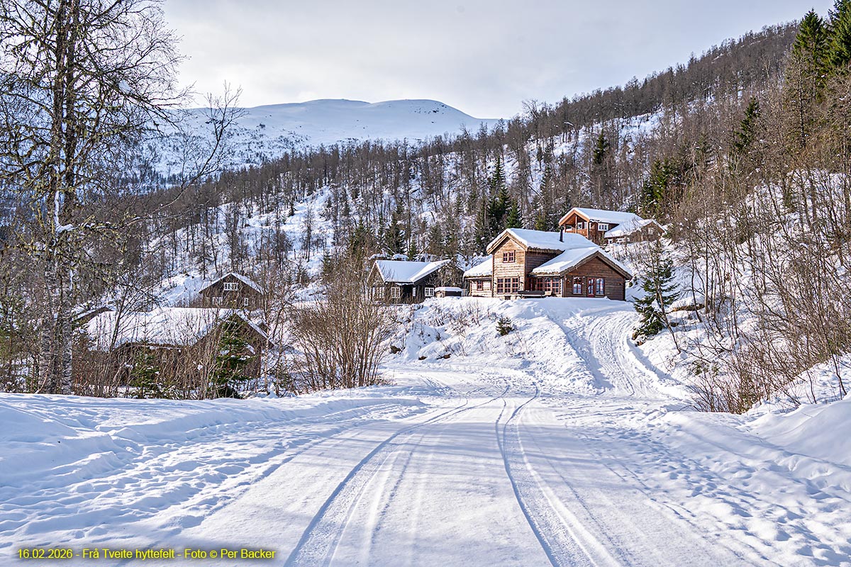 Frå Tveite hyttefelt