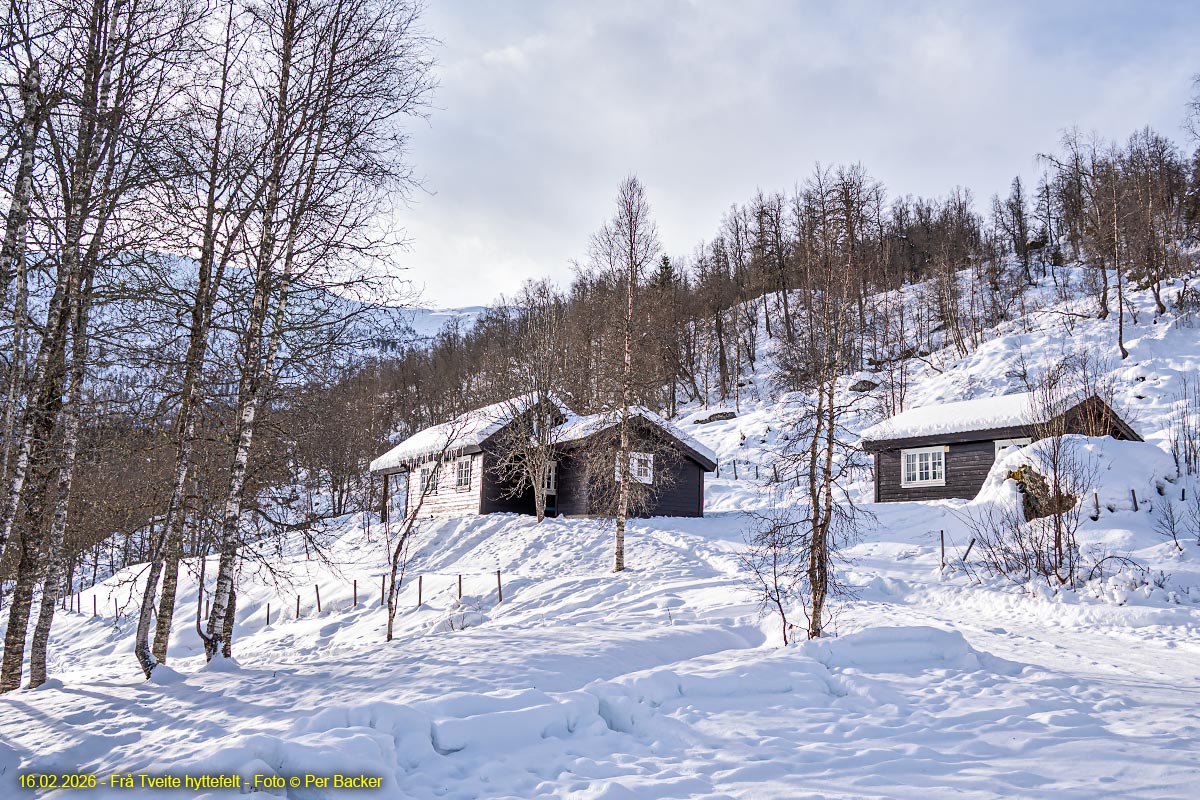 Frå Tveite hyttefelt