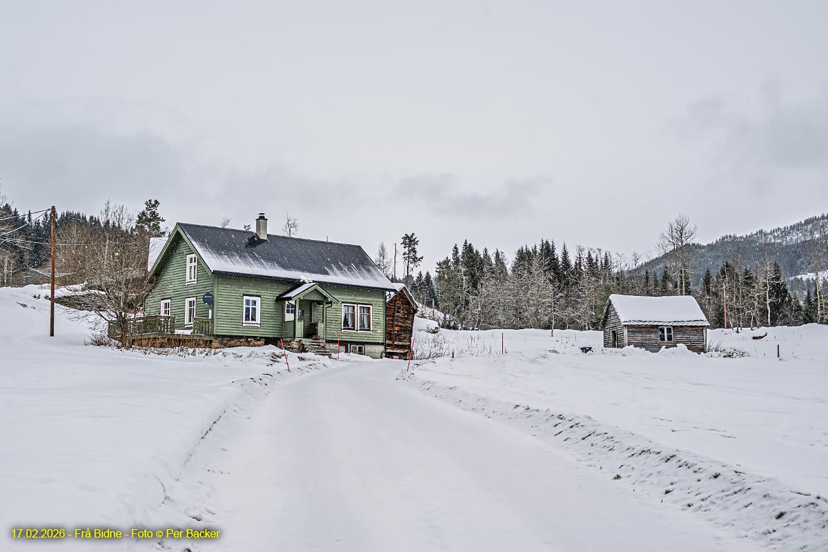 Frå Bidne