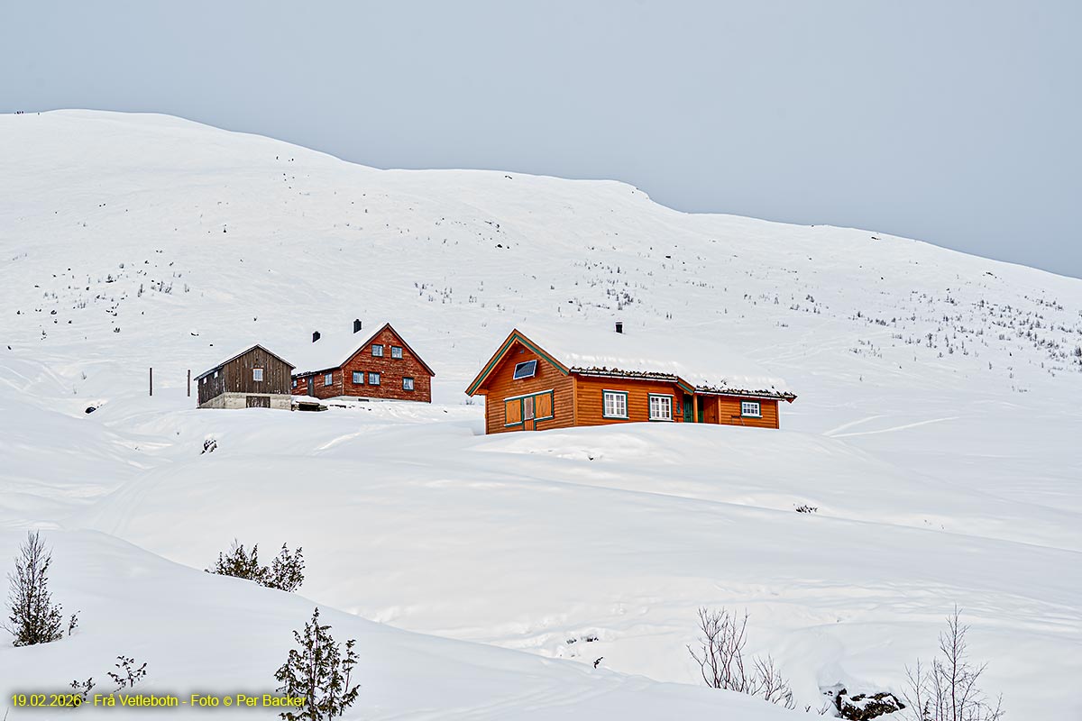 Frå Vetlebotn
