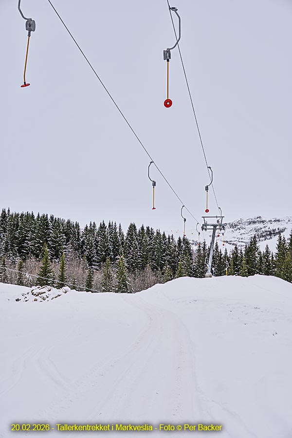 Tallerkentrekket i Mørkveslia