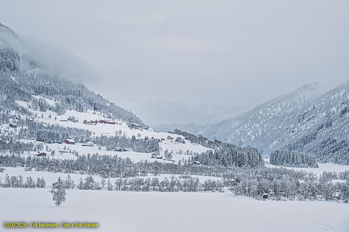 Frå Nesheim