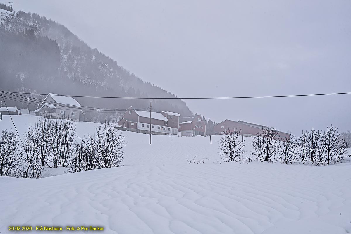 Frå Nesheim