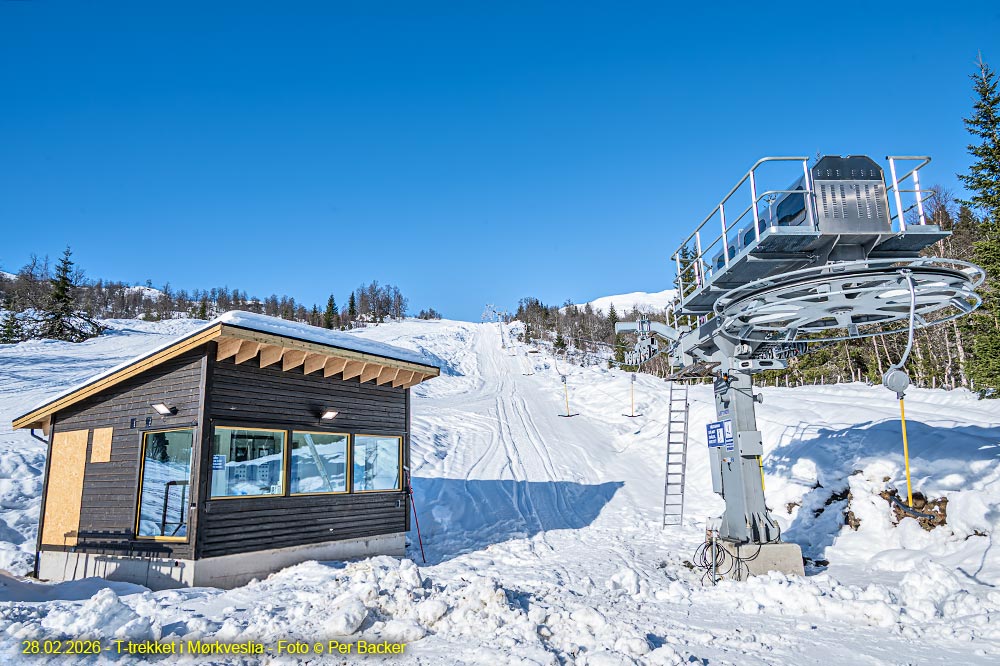 T-trekket i Mørkveslia