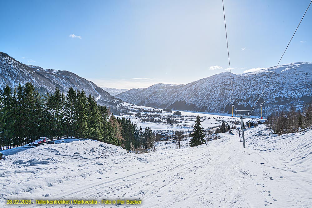 Tallerentrekket i Mørkveslia
