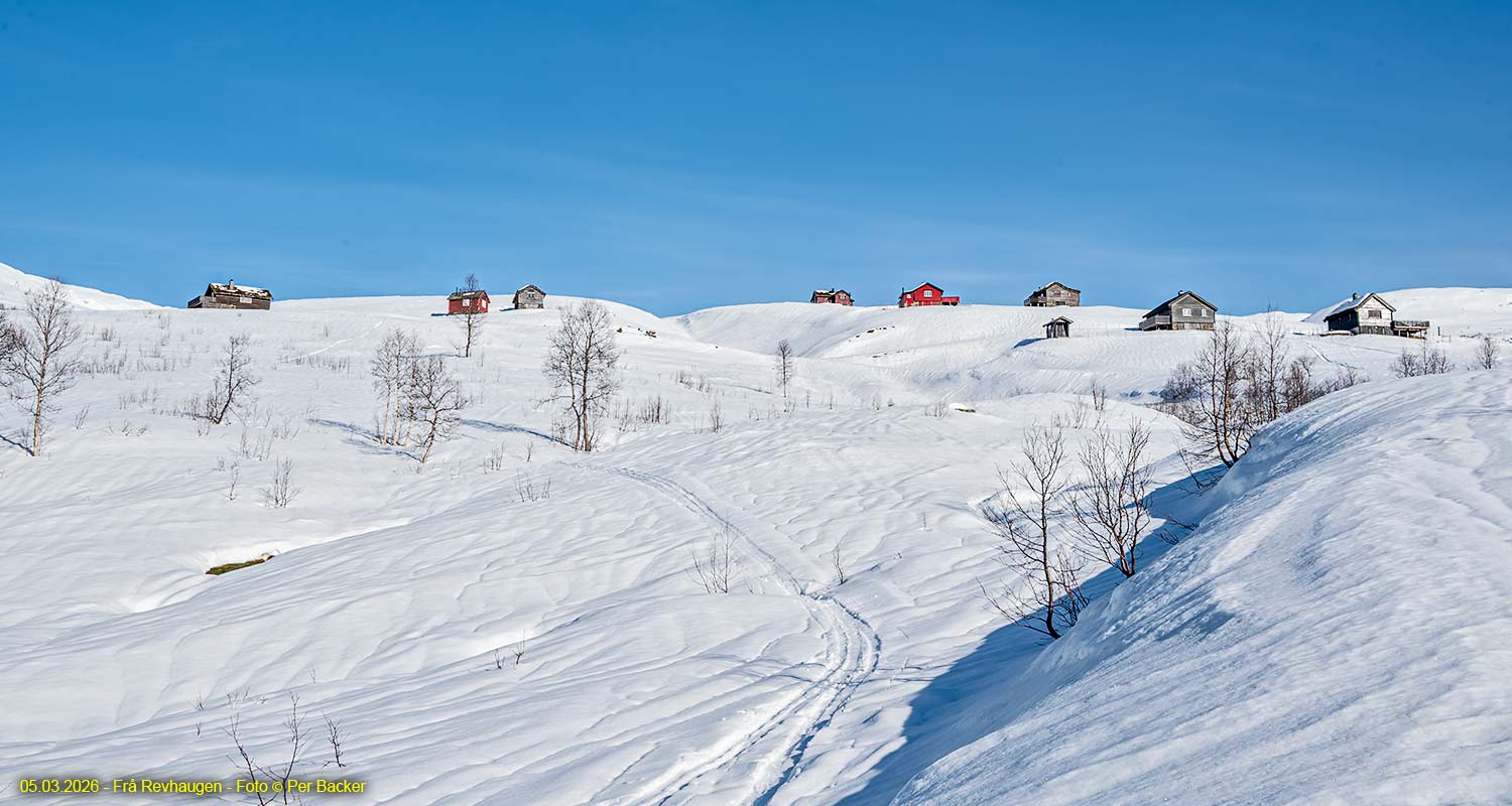 Frå Revhaugen