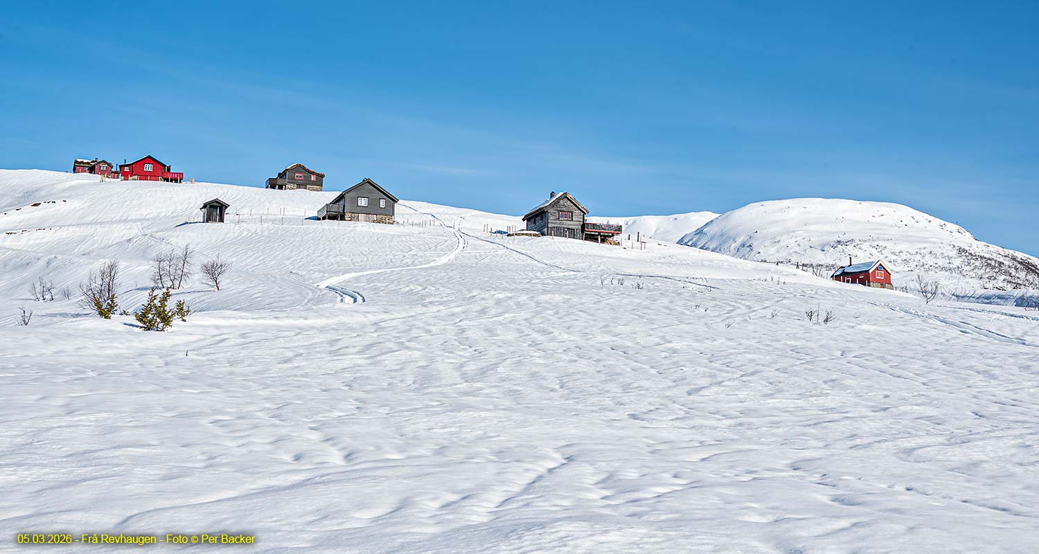 Frå Revhaugen