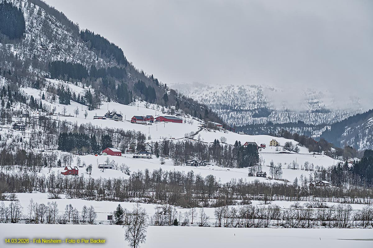 Frå Nesheim