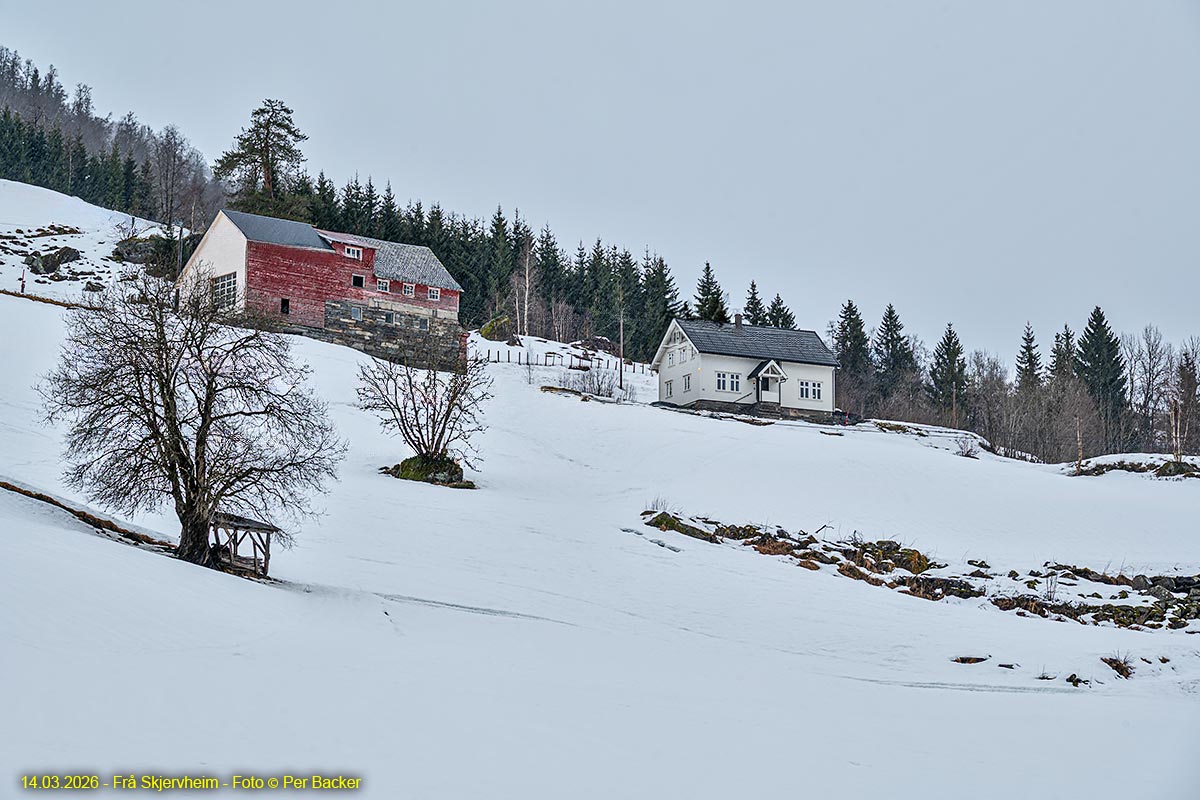 Frå Skjervheim