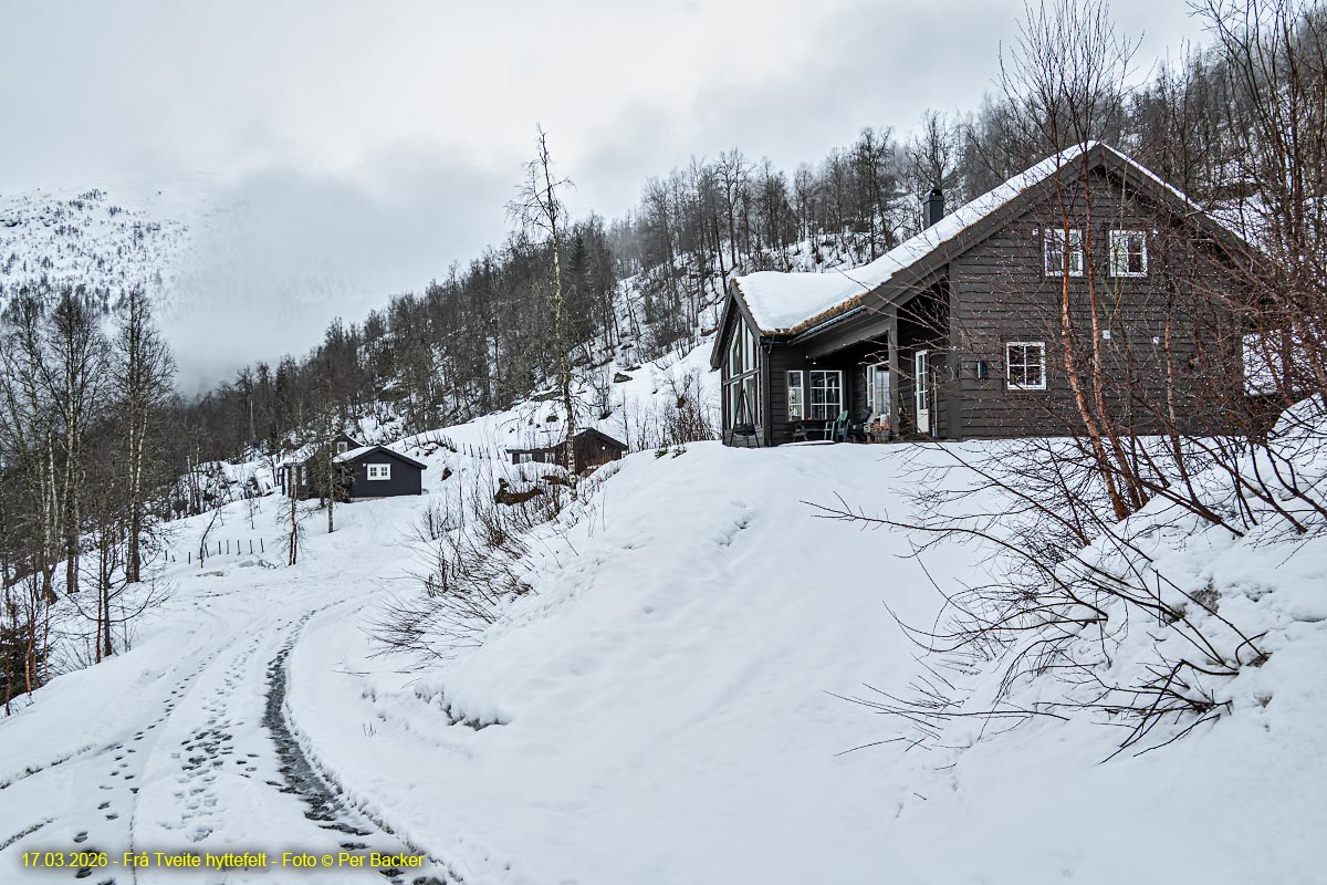 Frå Tveite hyttefelt
