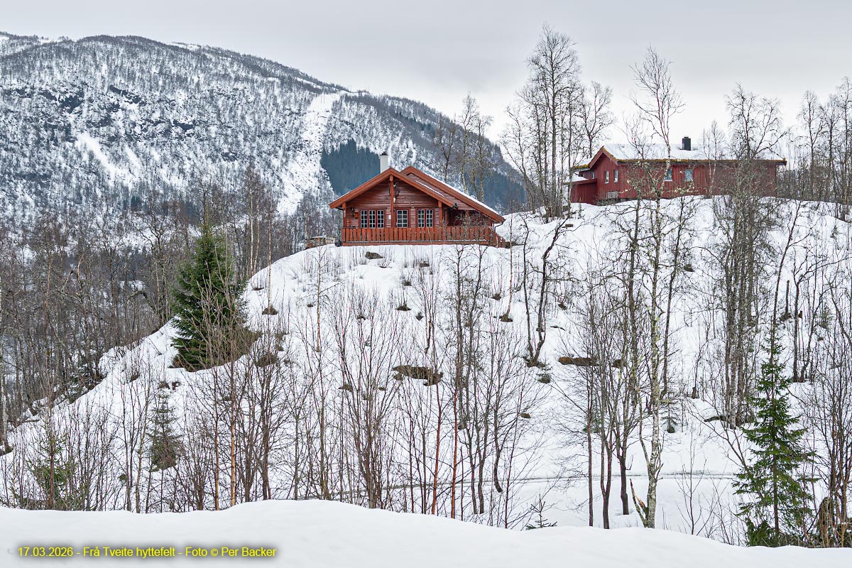Frå Tveite hyttefelt