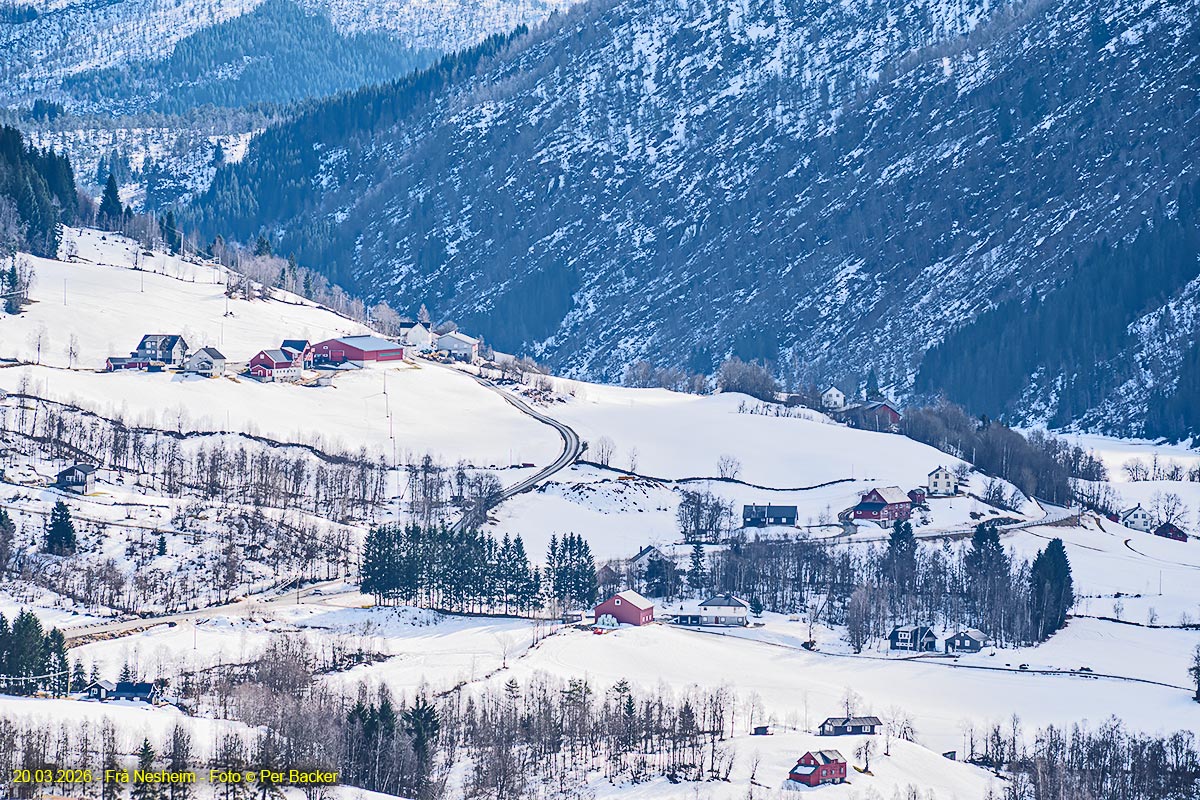 Frå Nesheim