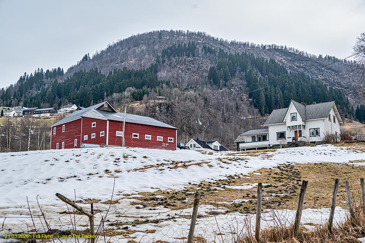 Frå Flyne