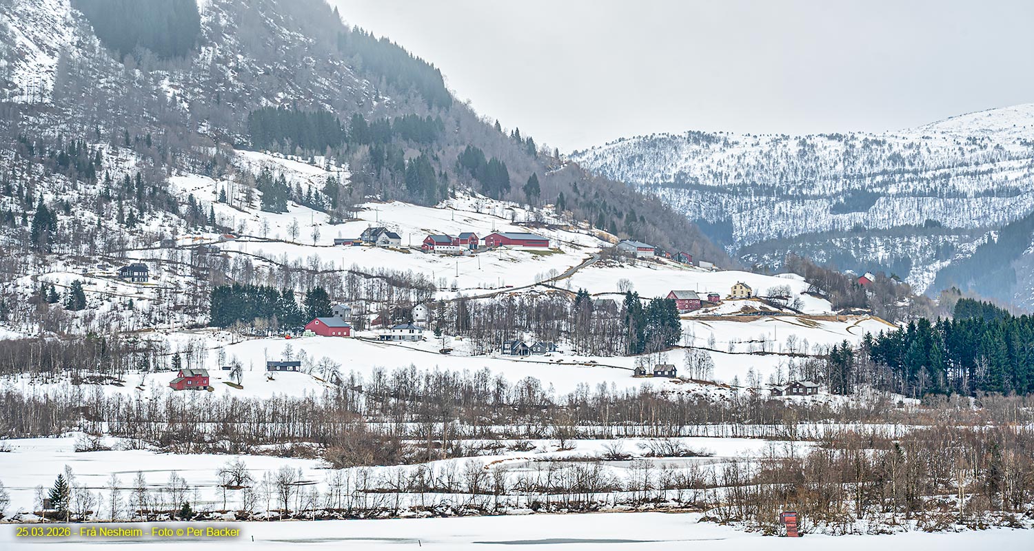 Frå Nesheim