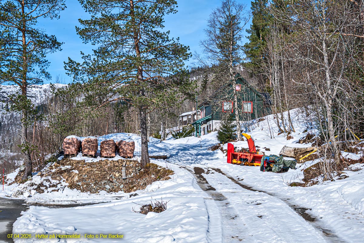 Hytter på Hommedal