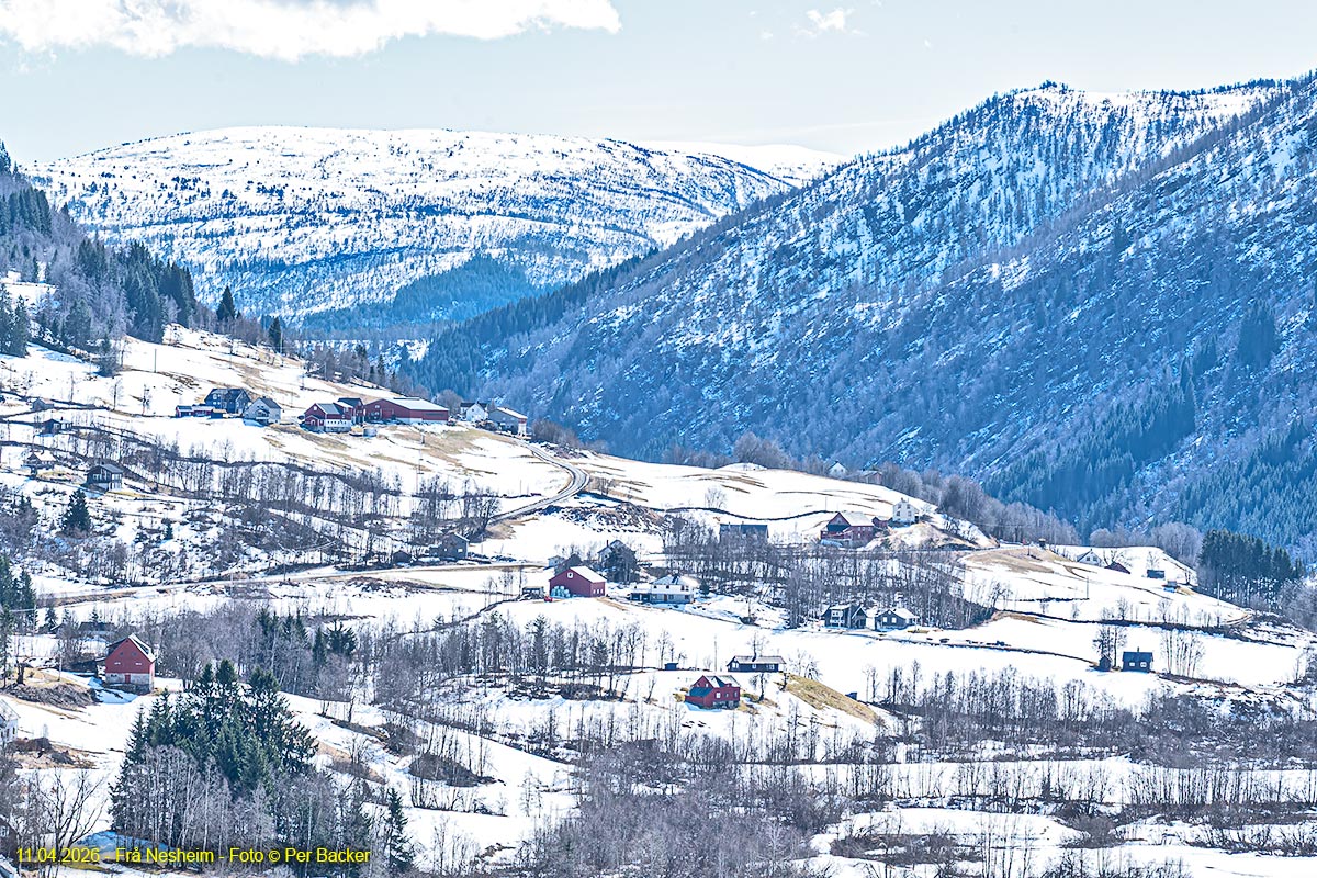 Frå Nesheim
