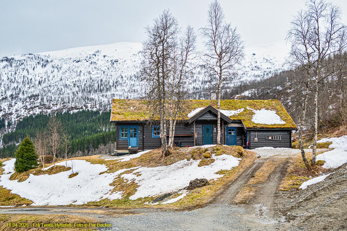 Frå Tveite hyttefelt