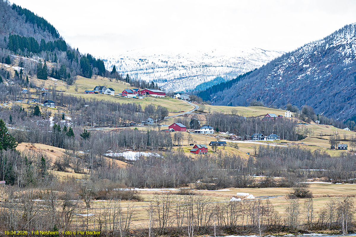 Frå Nesheim