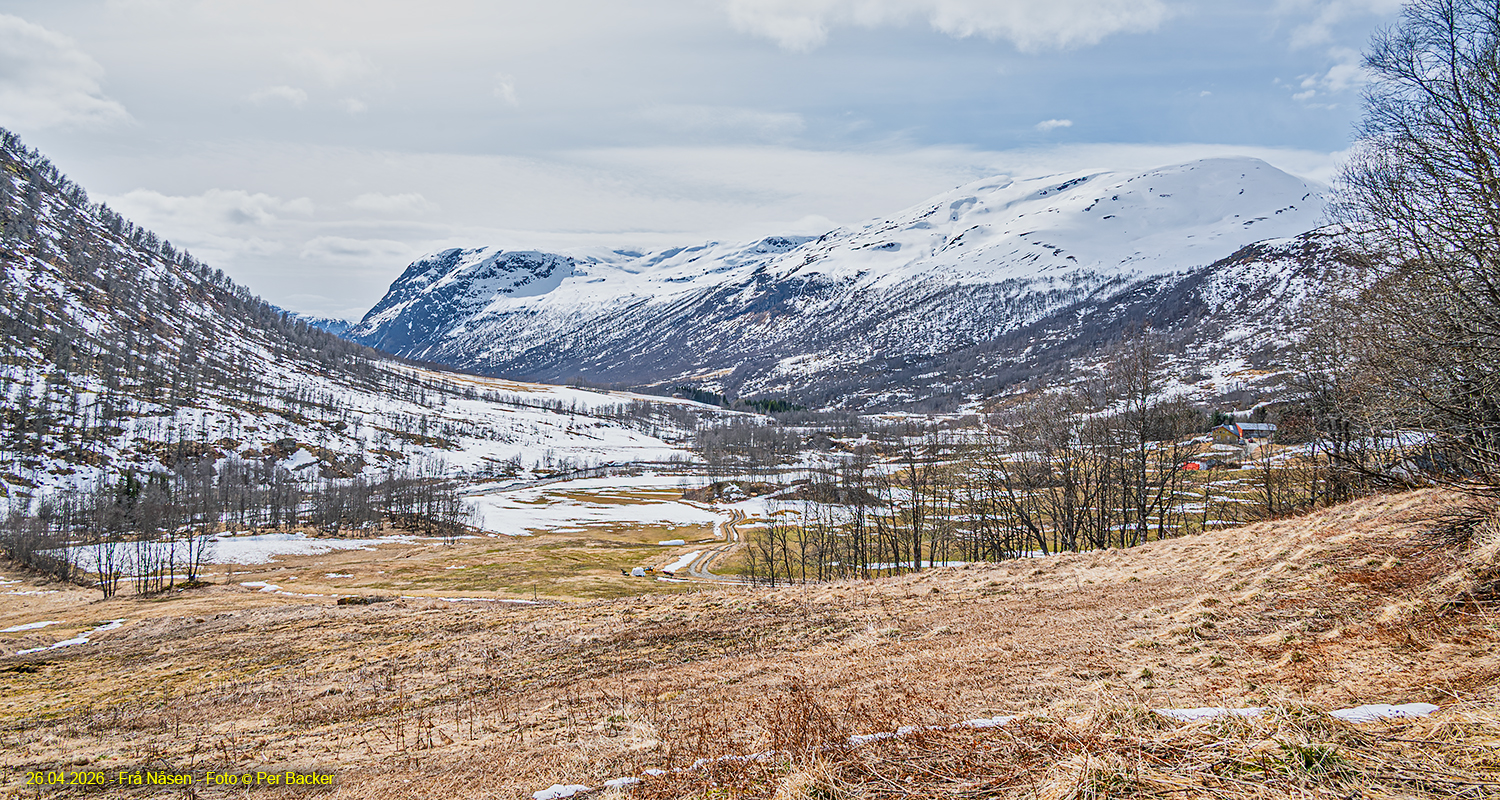 Frå Nåsen
